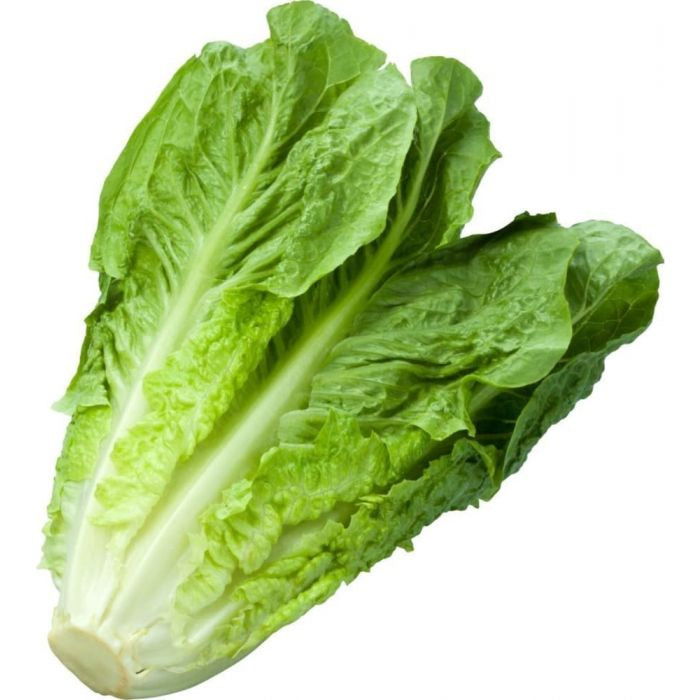 Cos Lettuce single pack