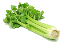 Celery Pieces/Punnet