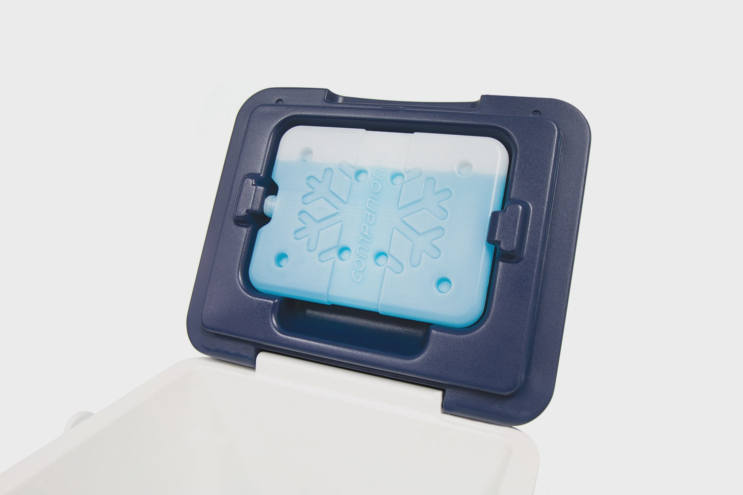 Esky Ice Brick Small 150mL