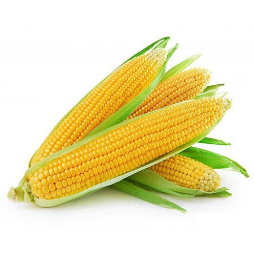 Corn Cob 500g