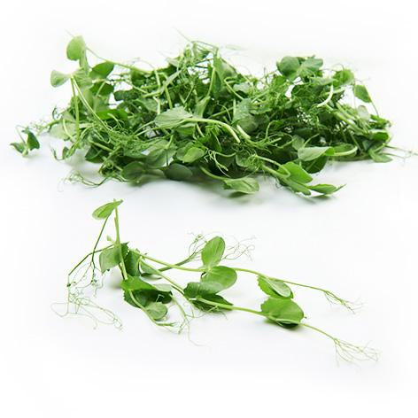 Snow Pea Tendrils