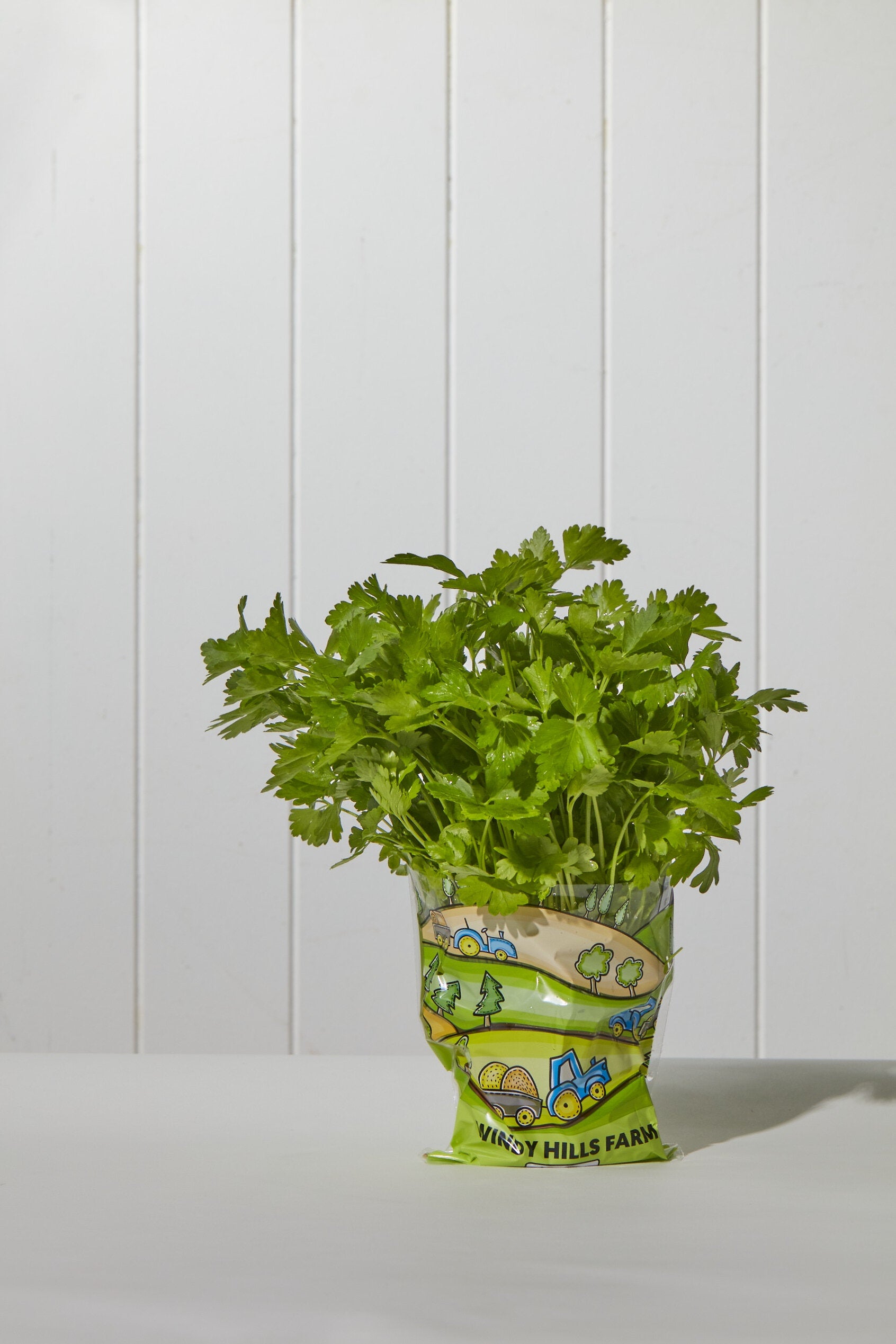 Windy HIlls Fresh Coriander