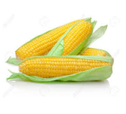 Sweet Corn Cob - each