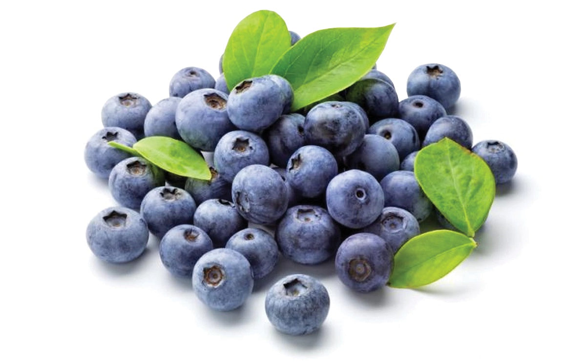 Fresh Blueberries 125g