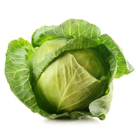 Fresh Cabbage Whole