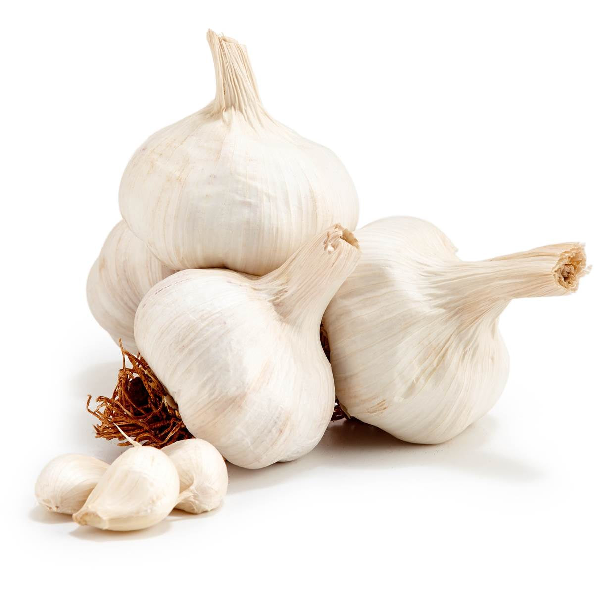 Fresh Garlic Bulb /kg