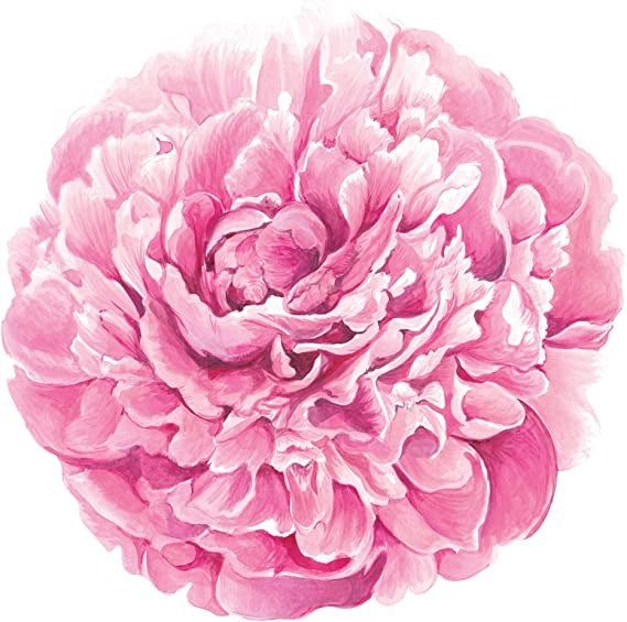 Hester and Cook Placemats Peony