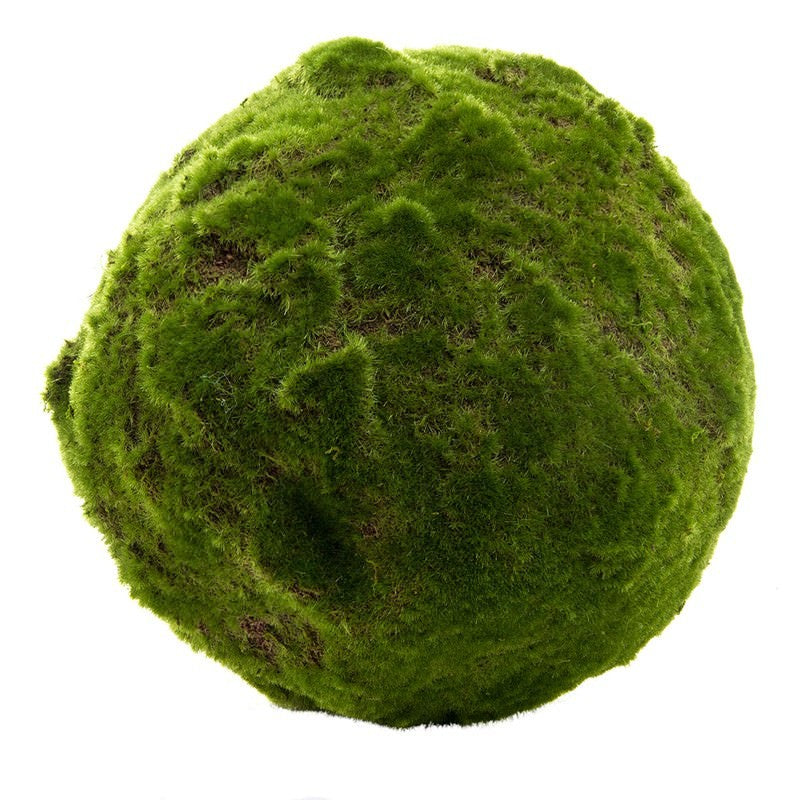 Moss Ball 33cm