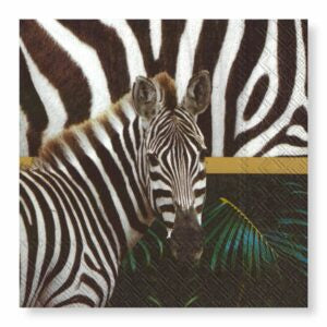 Manor Road Wild Stripes Luncheon Napkin 20 pack