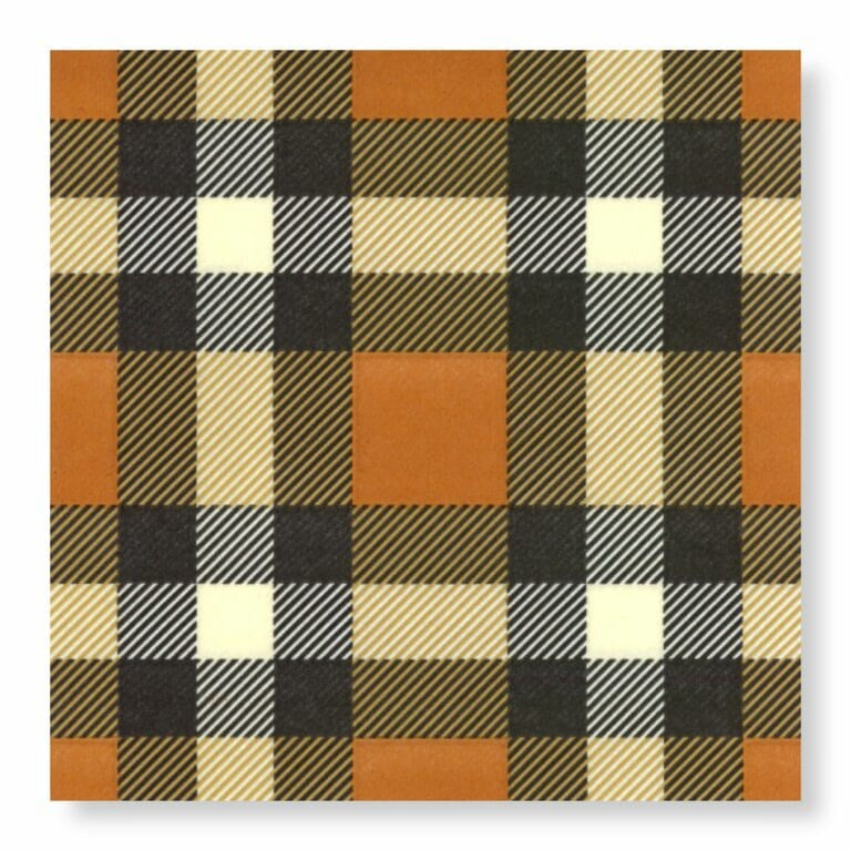 Manor Road Classic Plaid Dinner Napkin 20 pack