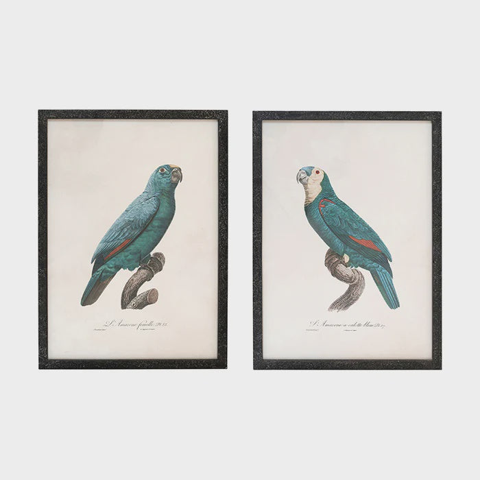 Jipp Tropical Bird Wall Art