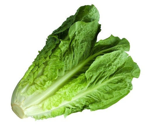 Fresh Cos Lettuce per each