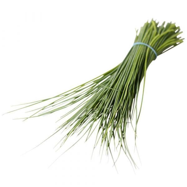 Windy HIlls Fresh Chives