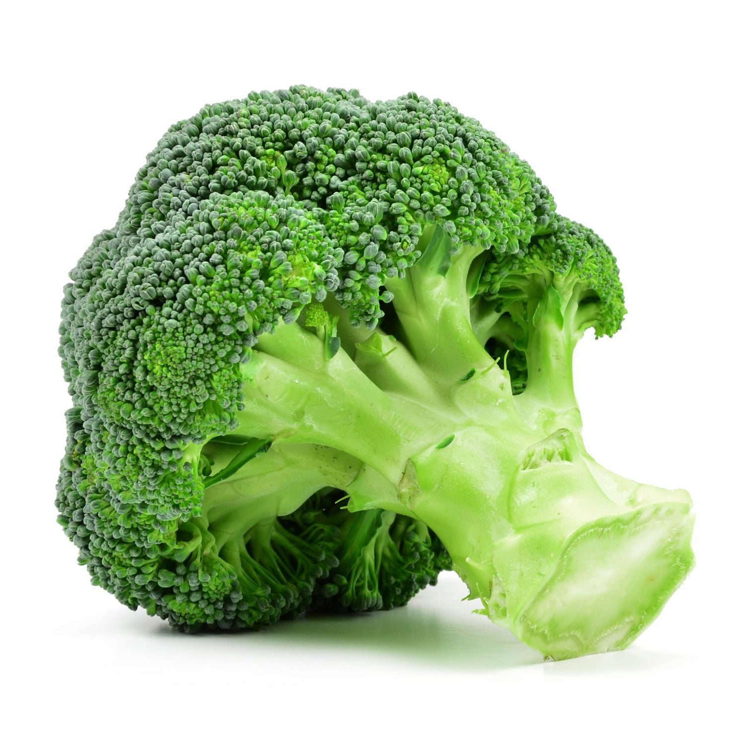 Fresh Broccoli /kg