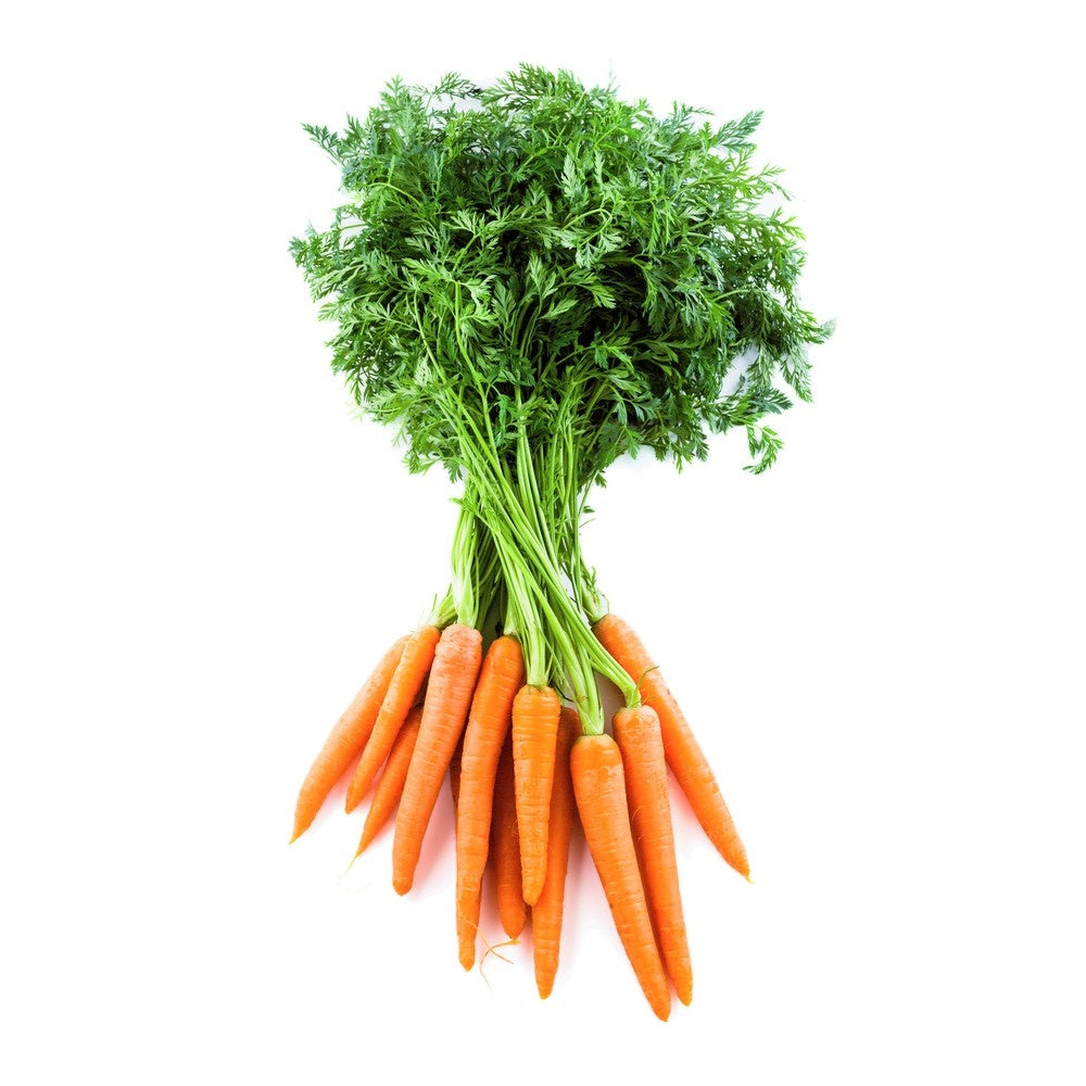 Fresh Dutch Carrots /bunch