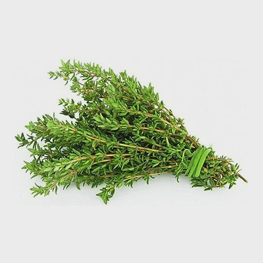 Windy HIlls Fresh Thyme